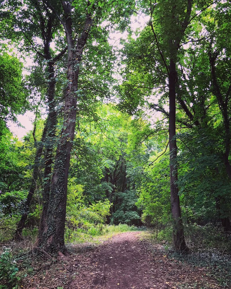 JACK HARRINGTON GREENWAY 90 Photos Gedney Way, White Plains, New