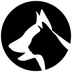 High Springs Animal Hospital