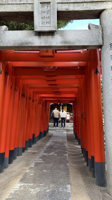 Kushida Shrine by null
