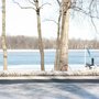 Photo of Euforia Sur Rive