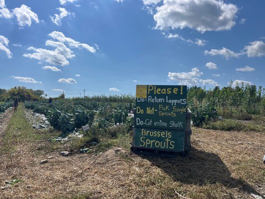 Indian Creek Farm by null