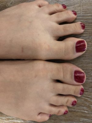 American Beauty by null