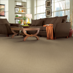 LA Carpet