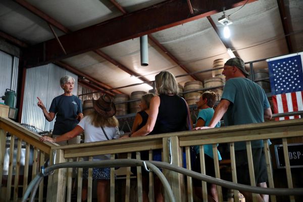 Pennington Distilling Co. by null