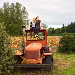 Stoney Ridge Farm - Near the pumpkin patch