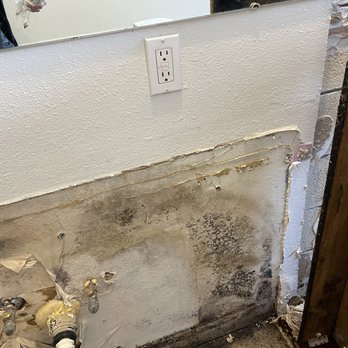 Aerolite Consulting - Visible mold growth - Home Inspectors Near Me - Springville, Utah