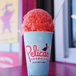 Pelican's SnoBalls of Oxford - AL