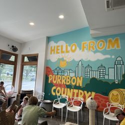 Purrfect Day Cat Cafe
