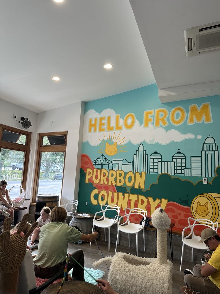 Social spots from Purrfect Day Cat Cafe