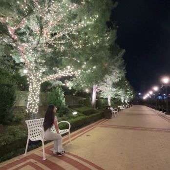 Encore Boston Harbor - Trees - Resorts Near Me - Everett, Massachusetts Encore Boston Harbor - Trees - Resorts Near Me - Everett, Massachusetts