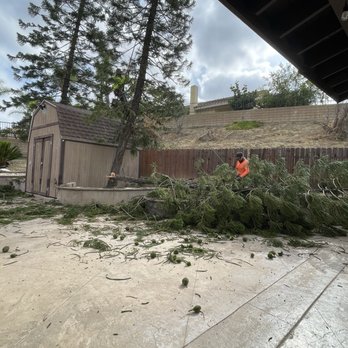 Ureno Tree Service - Tree Services Near Me - Anaheim, California Ureno Tree Service - Tree Services Near Me - Anaheim, California