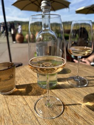 Antinori nel Chianti Classico by null