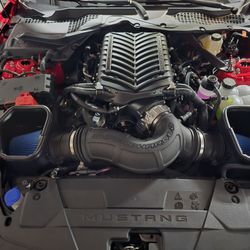 Beefcake Racing - Darkhorse Whipple Supercharged with open air boxea