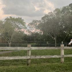 Emerald Hills Lakes Park