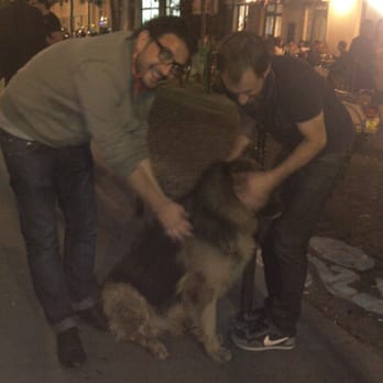 Tribal Café - Les "fidèles Yelpeurs et l'énooorme chien" - Cafes Near Me - Paris, 75