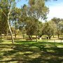 Photo of Victoria Park Racecourse - Bakkabakkandi