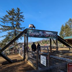 Showvaker’s Quality Evergreens - December 9, Saturday noon