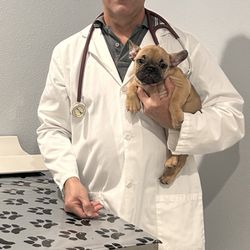 Bearss Animal Hospital - Puppy's first visit! Isn't he precious!