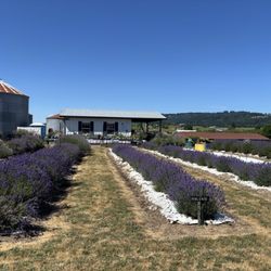 Chehelam Flats Farm Market
