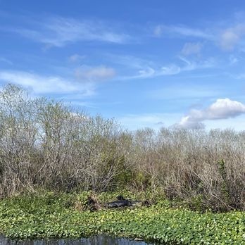 Camp Holly Airboat Rides - Boating Near Me - Melbourne, Florida Camp Holly Airboat Rides - Boating Near Me - Melbourne, Florida