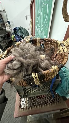 Large Animal Research Station by null