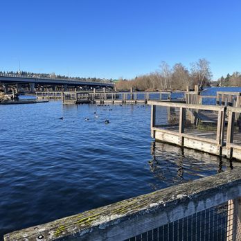 Washington Park Arboretum - Floating bridges between islands. Cool - Parks Near Me - Seattle, Washington Washington Park Arboretum - Floating bridges between islands. Cool - Parks Near Me - Seattle, Washington