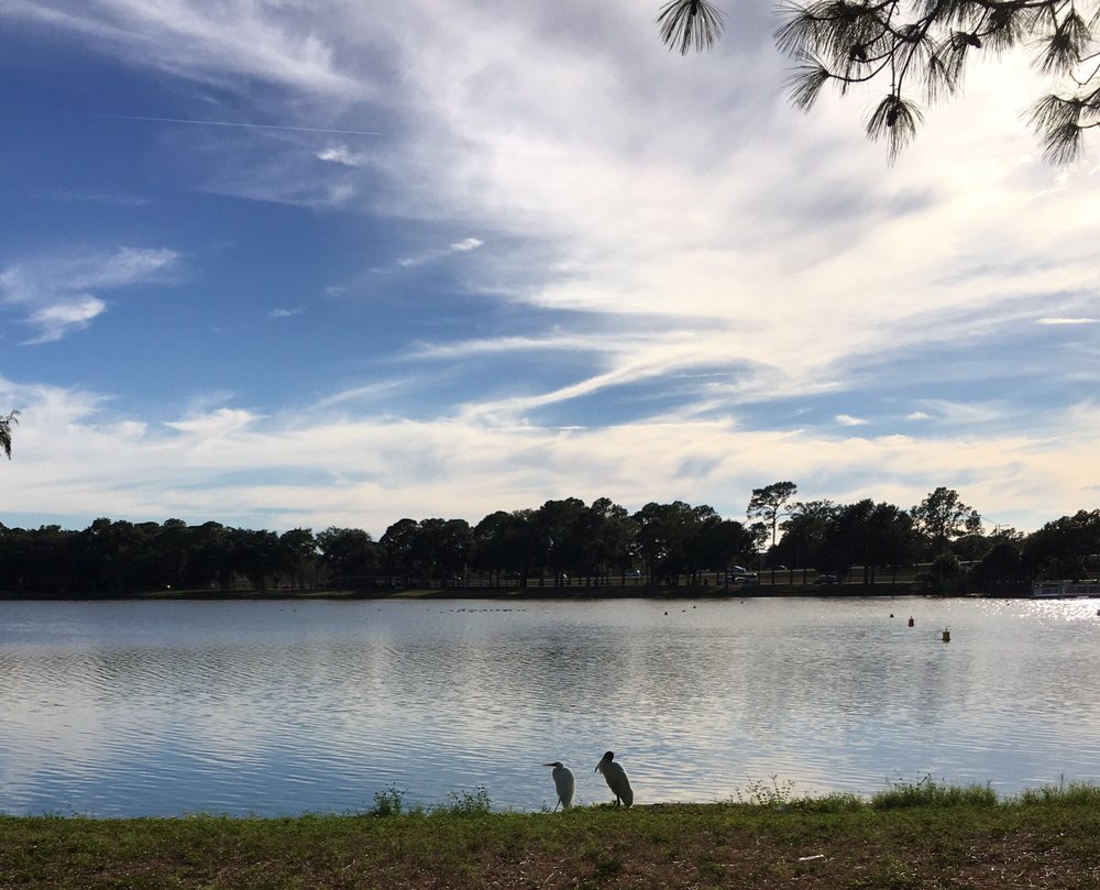 FREEDOM LAKE DOG PARK 127 Photos & 24 Reviews 9990 46th St N