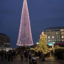 Weihnachtsmarkt Rathausmarkt