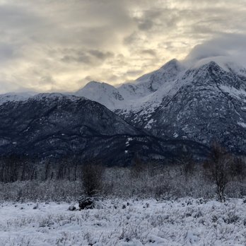 Alaska Horse Adventures - Horseback Riding Near Me - Palmer, Alaska