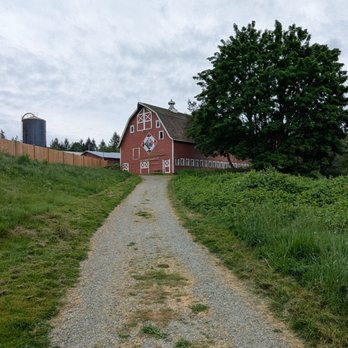 Whitehorse Trail - Trafton Trailhead - Hiking Near Me - Darrington, Washington Whitehorse Trail - Trafton Trailhead - Hiking Near Me - Darrington, Washington