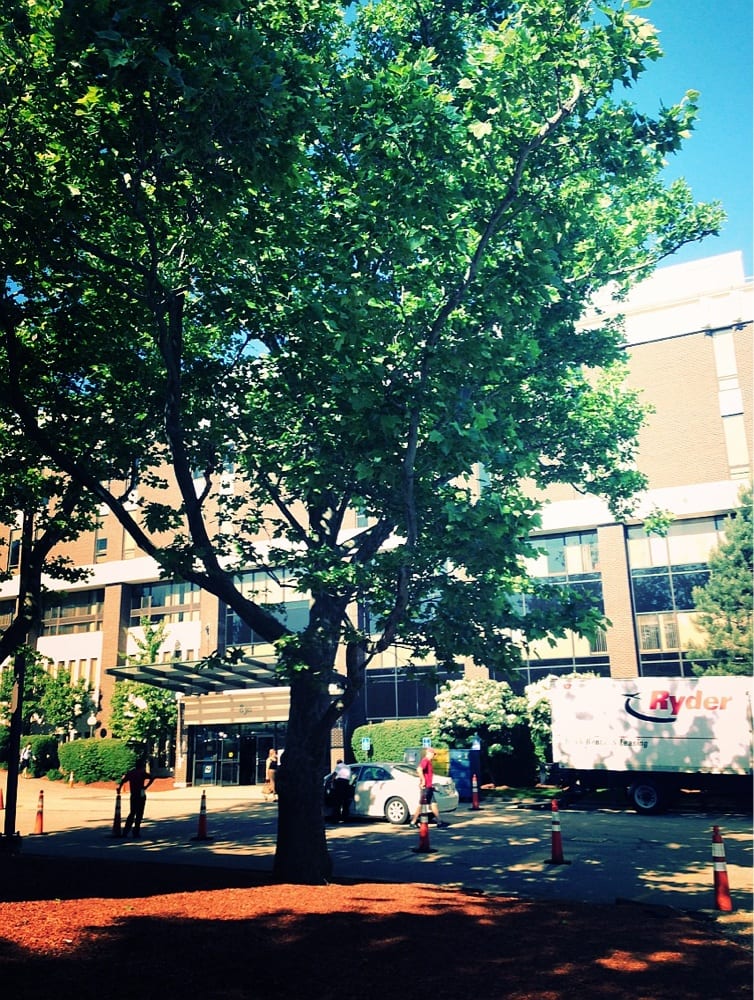 BRIGHAM AND WOMEN’S HOSPITAL Updated August 2024 850 Boylston Pl