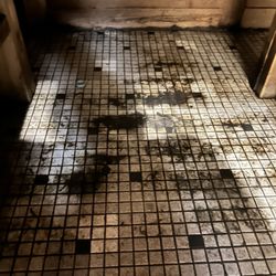 LA Fitness - Men's Sauna