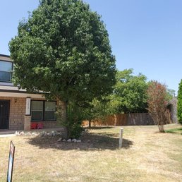 Front of house - Before Front of house - Before