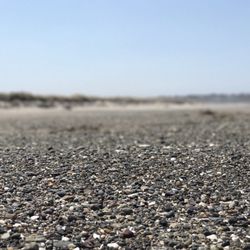 Bullards Beach State Park