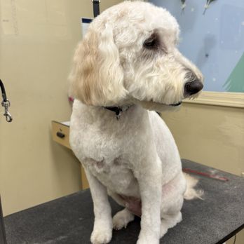 Petco - Pet Stores Near Me - Napa, California