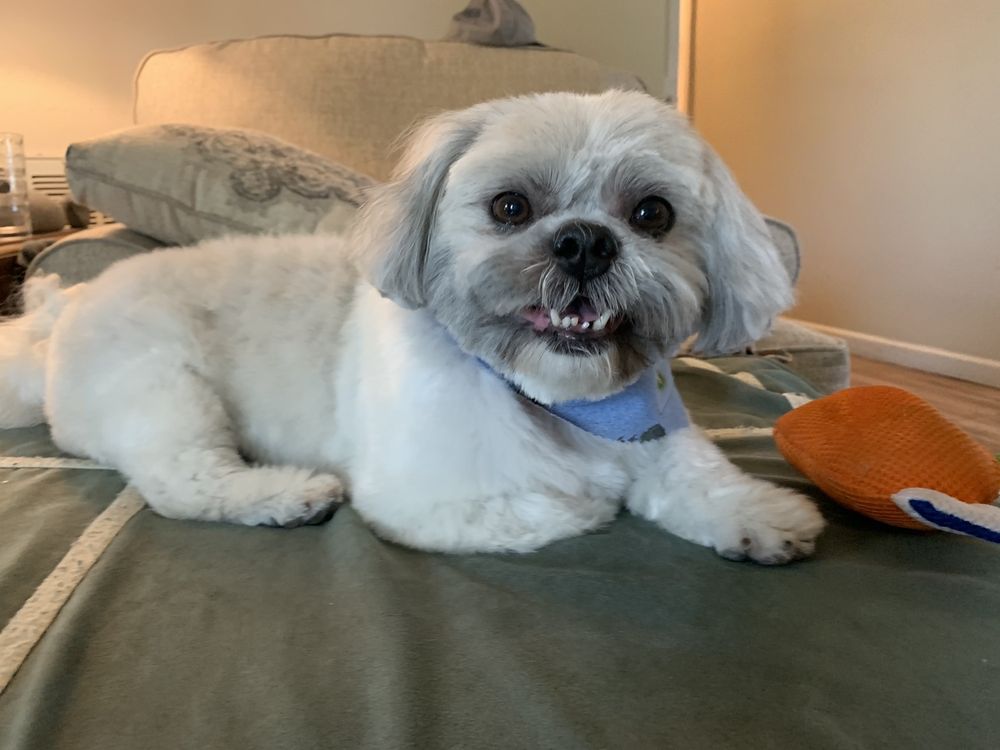 SCISSORSNSUDS Updated October 2024 12 Reviews 961 Dougherty Rd