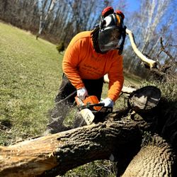 Kontrollher Landscape - Kontrollherlandscape.inc
Lawn mowing
Trimming
Tree services
Weeding
