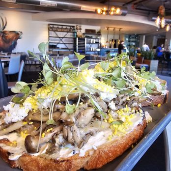 Tribe at Riverwalk - Mushroom Toast  by Coloradofoodie - New American Near Me - Castle Rock, Colorado