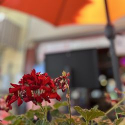 Gumba's Italian Restaurant