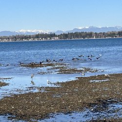 Birch Bay State Park