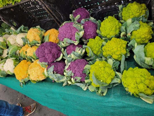 The Riverside Downtown Farmers Market by null