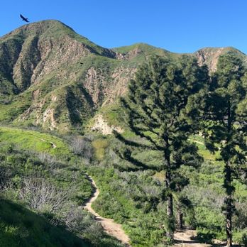 O'Melveny Park - Views ! - Parks Near Me - Granada Hills, California