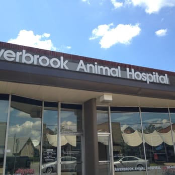 Riverbrook Animal Hospital - Veterinarians Near Me - Tulsa, Oklahoma