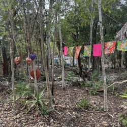 Ixchel Jungle Spa - Arriving at the " spa".