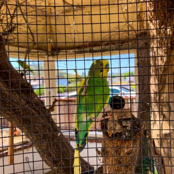 Victoria Post Acute Care - Pretty bird! - Physical Therapy Near Me - El Cajon, California