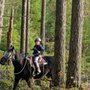Photo of The Whole Horse Place