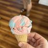 Enchanted Forest Ice Cream gift card