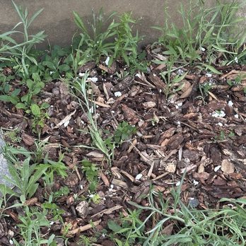 DaBella - Styrofoam in front garden bed from stucco removal and lack of covering - Roofing Near Me - Ogden, Utah DaBella - Styrofoam in front garden bed from stucco removal and lack of covering - Roofing Near Me - Ogden, Utah