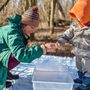 Photo of WildRoots Nature School