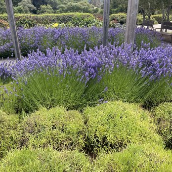 Humboldt Botanical Garden - Community Service/Non-Profit Near Me - Eureka, California Humboldt Botanical Garden - Community Service/Non-Profit Near Me - Eureka, California
